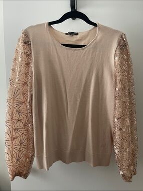Adrianna Papell Blush Sequin Mesh Sleeve Crewneck